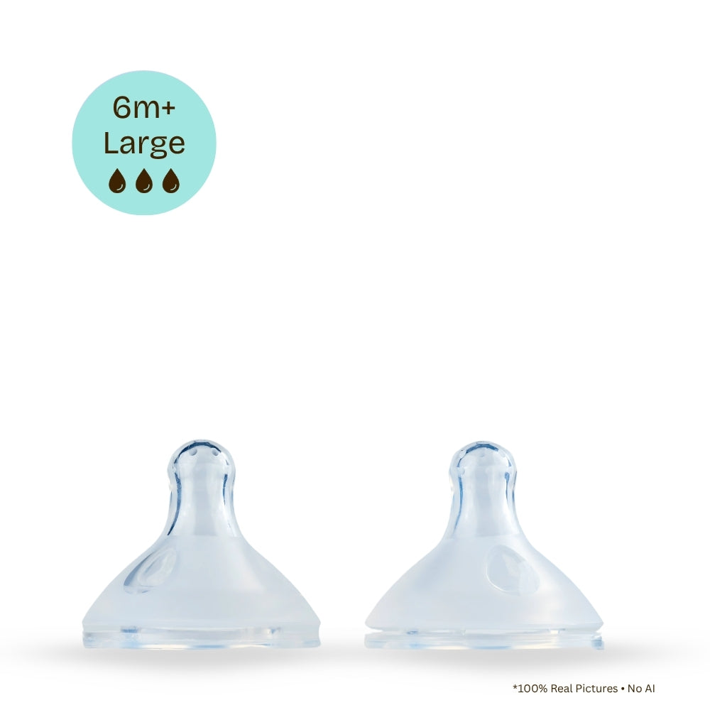 M00 Premium Nipple | 2 Pieces Box | Large (6 Months +)